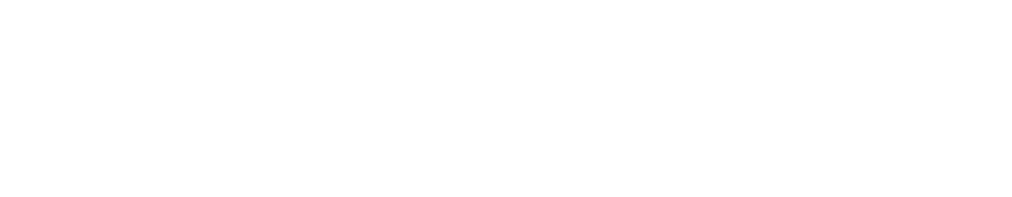 ReportGenie Logo